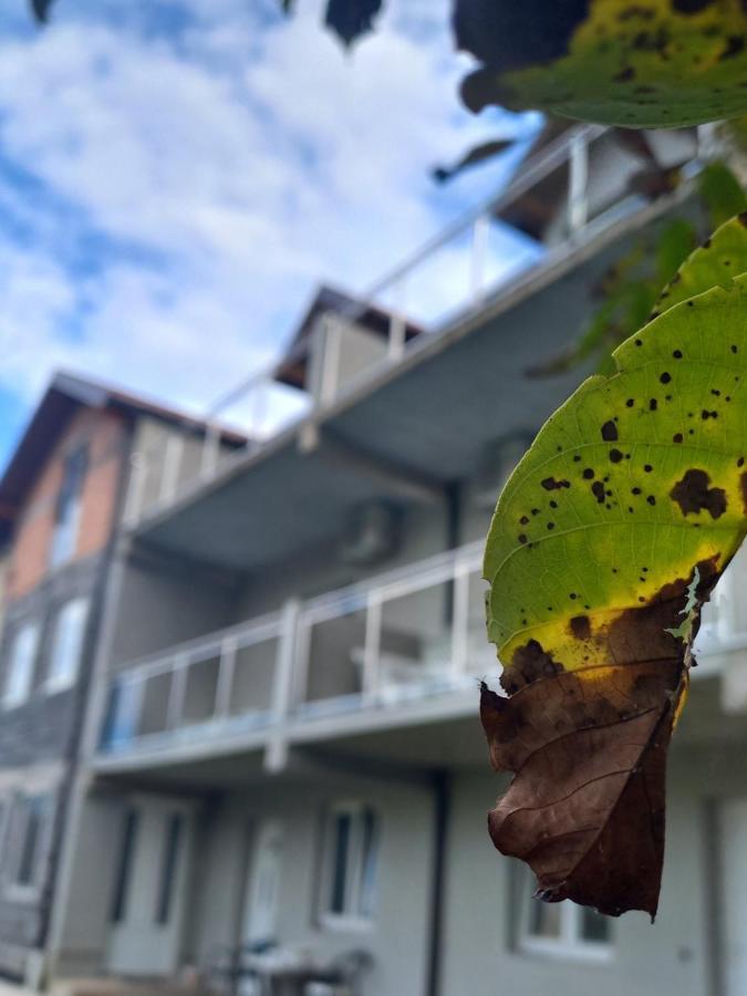 Apartmani Rosa Višegrad Exterior foto
